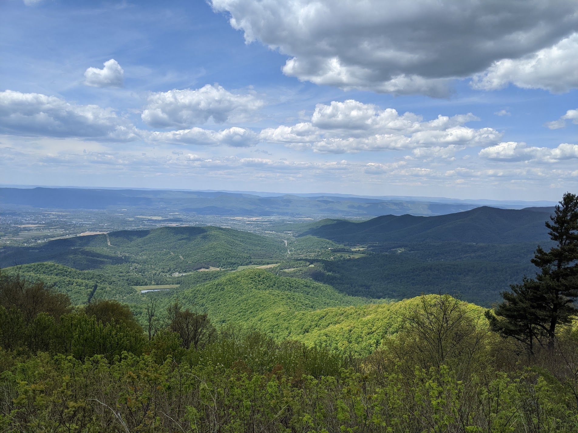 Landscape photo. There are hills all the way to the horizon, covered in trees, and the clouds are casting shadows.