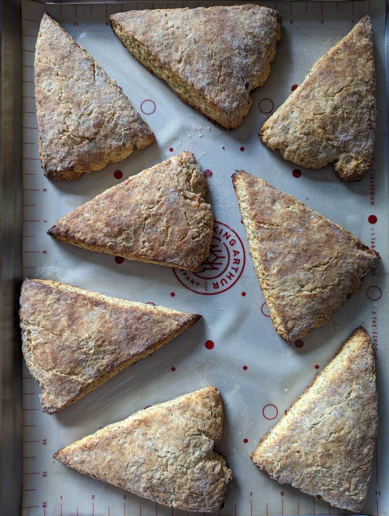 Scones on a baking sheet, a little bit over-baked with dark edges.