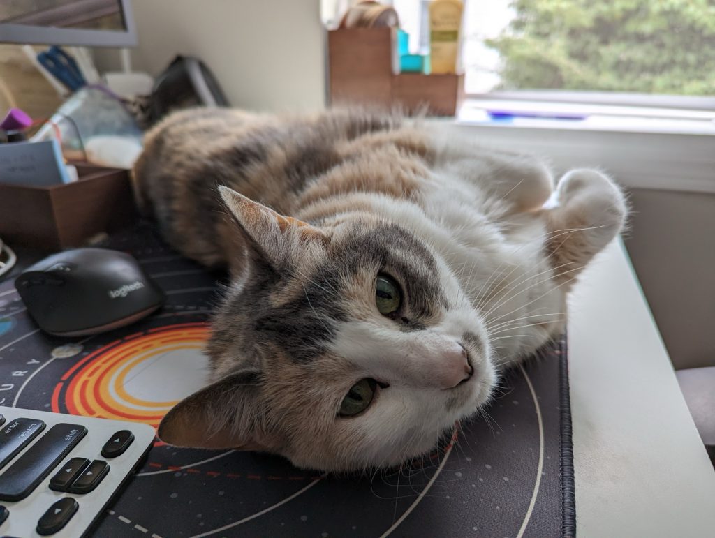 A calico cat laying on her side looking directly at the camera, next to a keyboard and mouse.