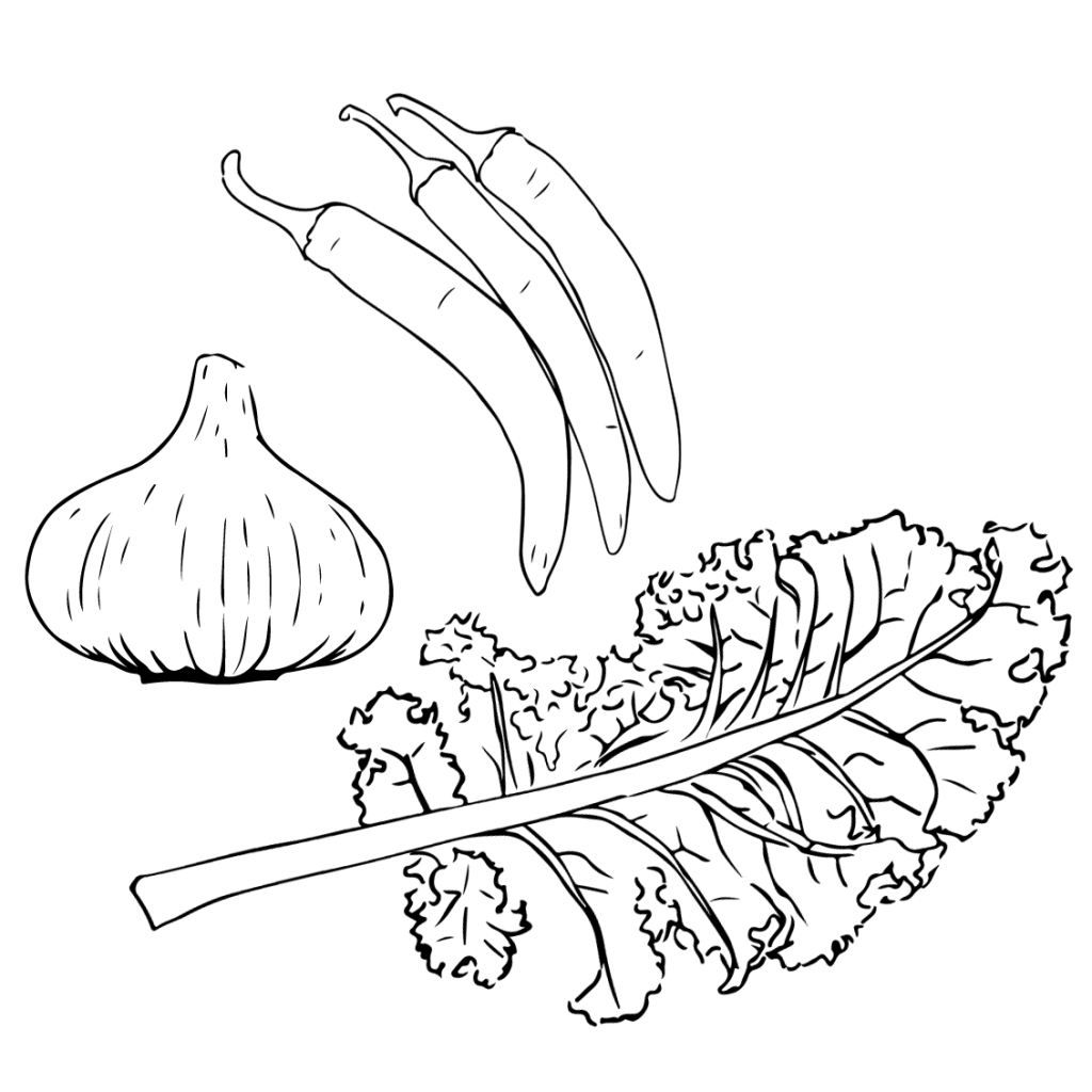 Line art of a bulb of garlic, 3 peppers, and a kale leaf