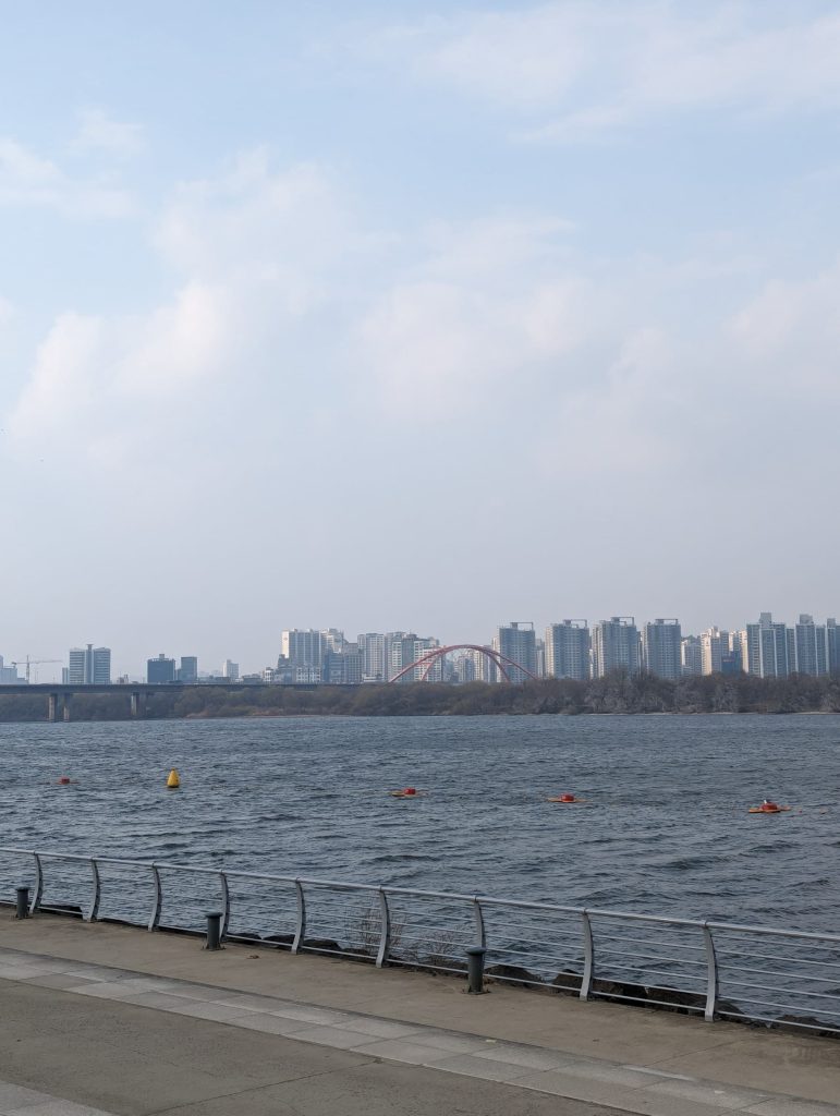 A landscape over the river, with a bridge and skyscrapers in the distance.