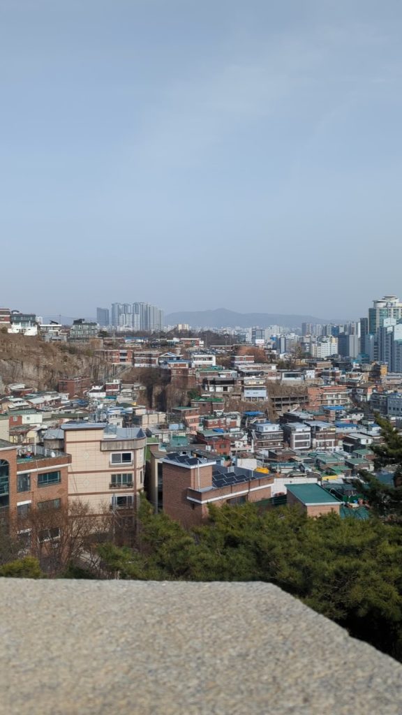 A landscape view with shorter buildings in the foreground, and taller skyscrapers beyond. Far in the distance is a mountain in haze.