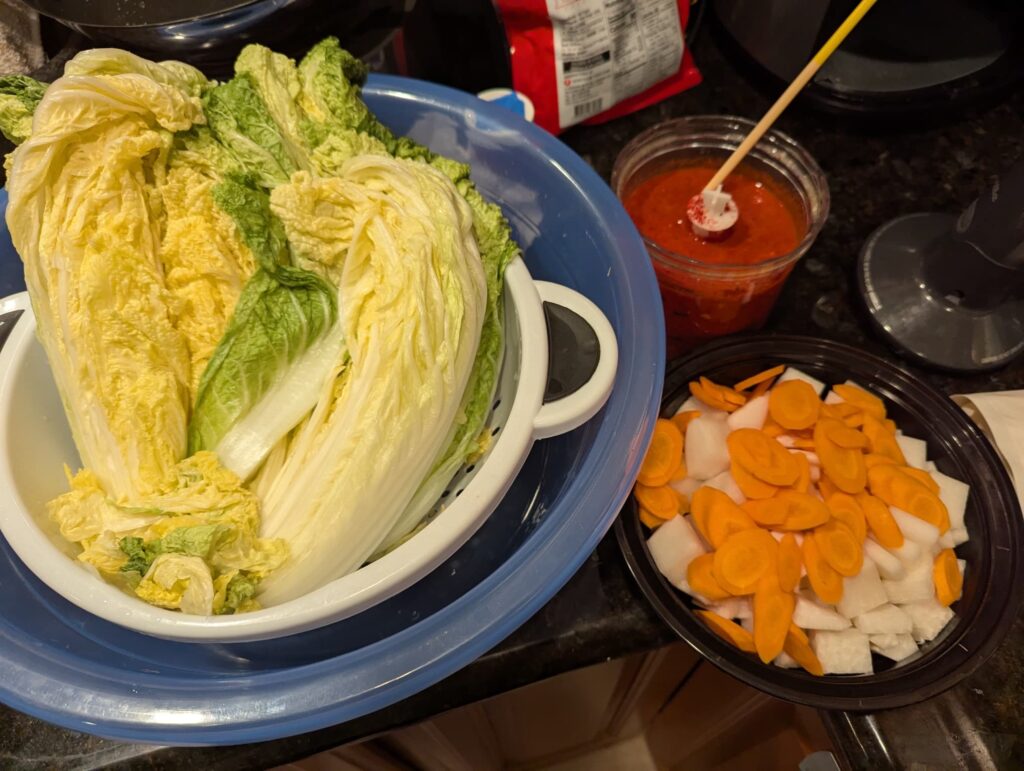Kimchi ingredients: salted cabbage, chopped carrots and radish, and the seasoning paste in the background.